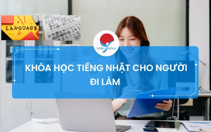 Khóa học tiếng Nhật cho người đi làm