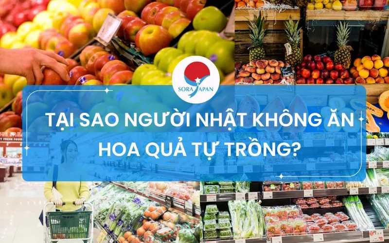 TẠI SAO NGƯỜI NHẬT KHÔNG ĂN HOA QUẢ TỰ TRỒNG?